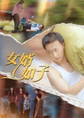 女婿如子封面图