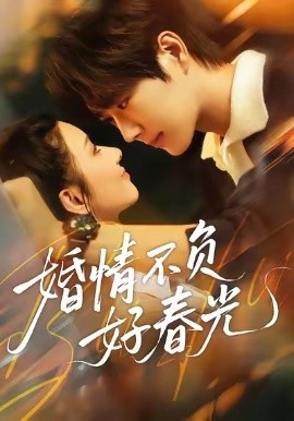 婚情不负好春光封面图