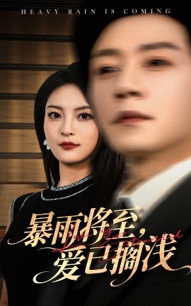 暴雨将至，爱已搁浅封面图