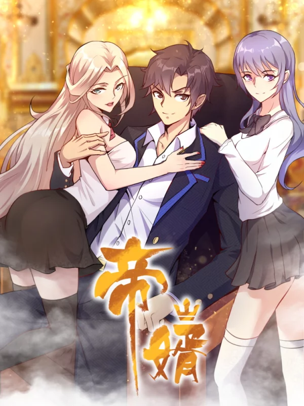 帝婿封面图