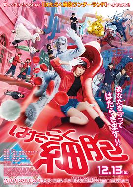 工作细胞 真人版封面图