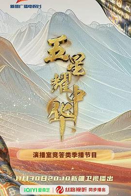 五星耀中华封面图