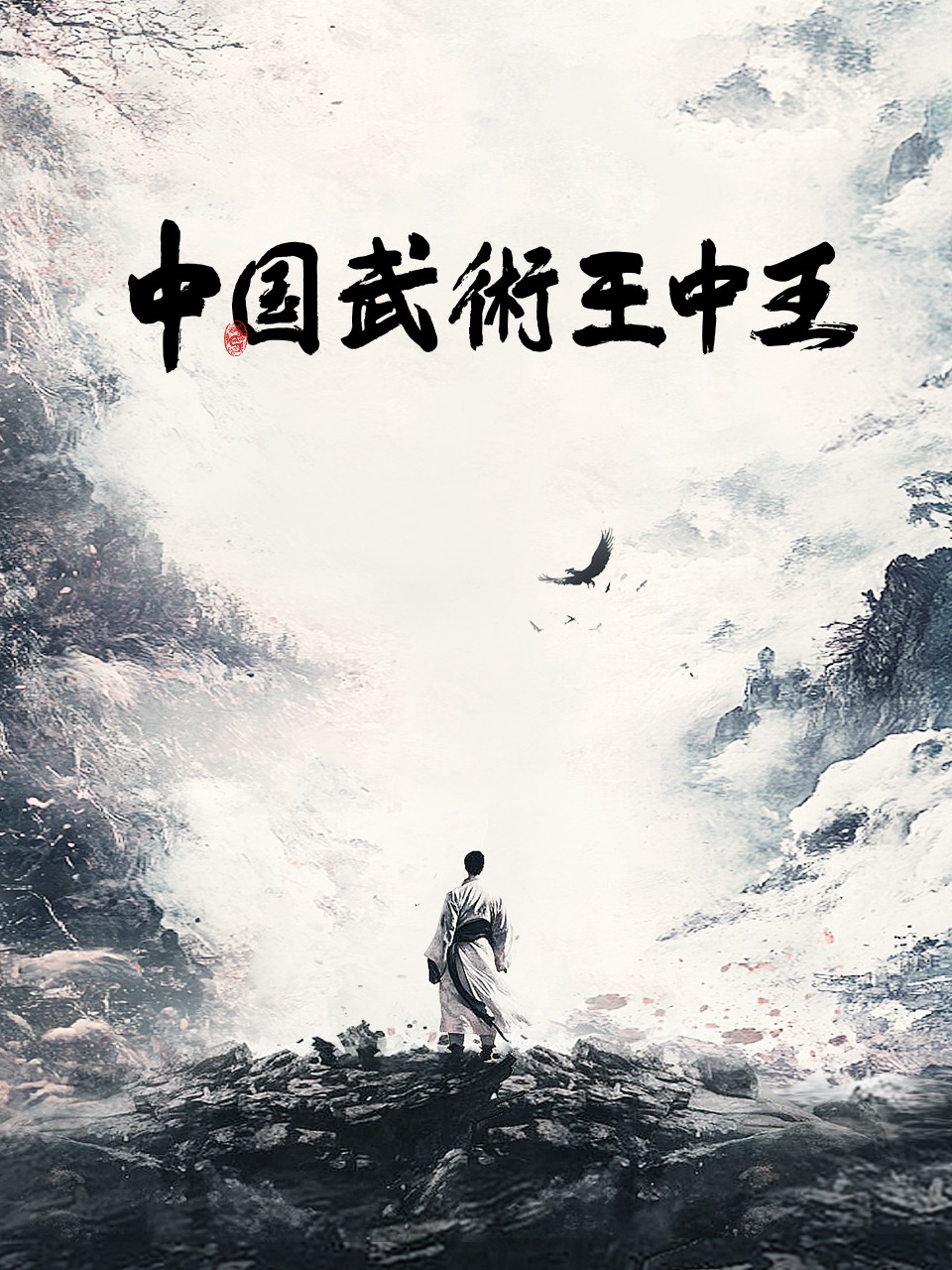 中国武术王中王封面图