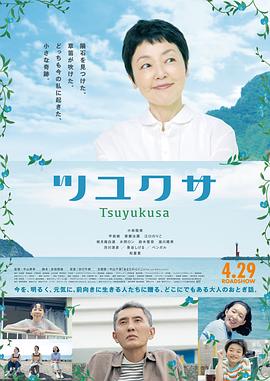 露草封面图