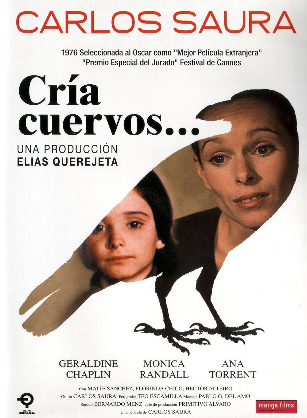 饲养乌鸦封面图