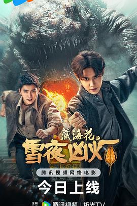 藏海花之雪夜凶灯封面图