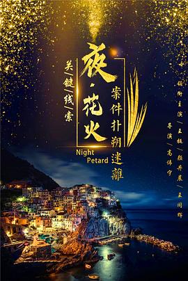 夜花火封面图