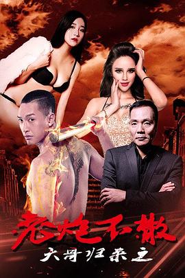 大哥归来之老炮不散封面图