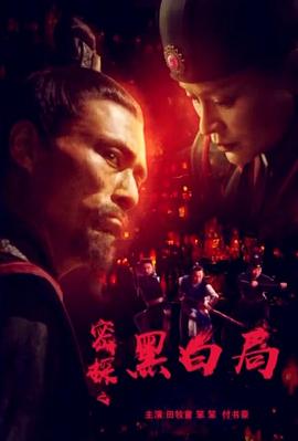 密探之黑白局封面图