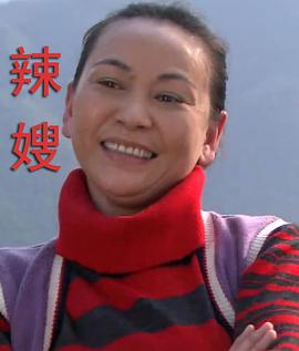 辣嫂封面图