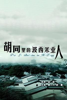 胡同里的波西米亚人封面图