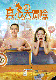 真心遇上大冒险封面图
