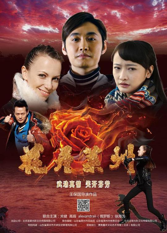 花开莱州封面图