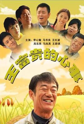 王富贵的心事封面图