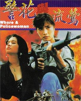 警花与流莺封面图