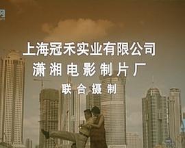 给太太打工封面图