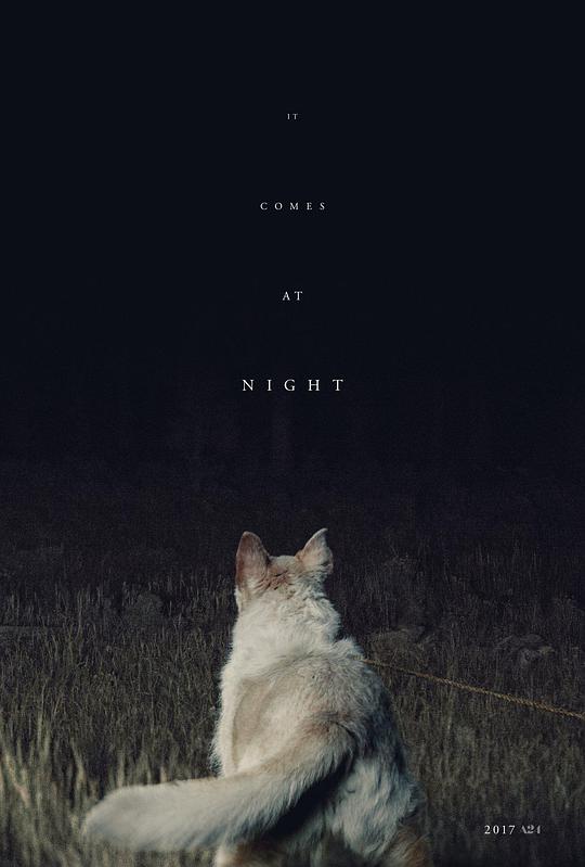 黑夜造访封面图