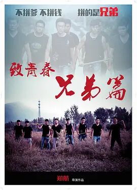 致青春 兄弟篇封面图