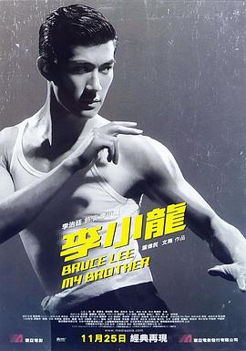少年李小龙封面图