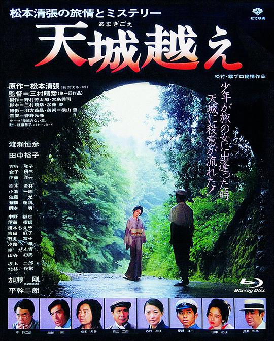 天城峡疑案封面图