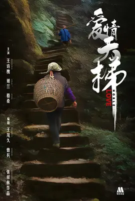 爱情天梯封面图