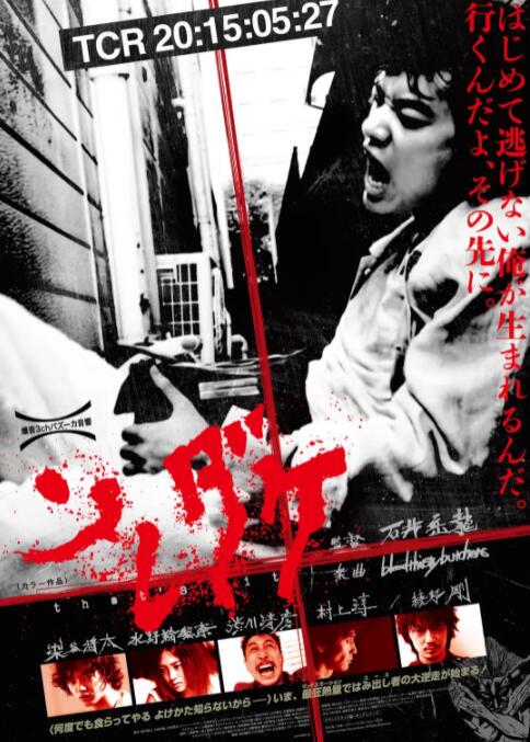 仅此而已封面图