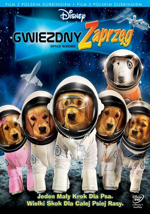 太空犬封面图