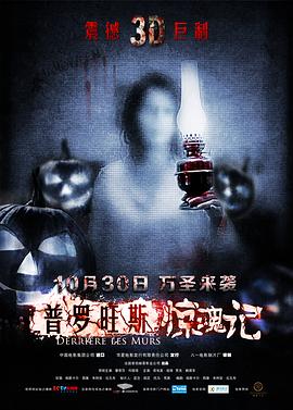 普罗旺斯惊魂记封面图