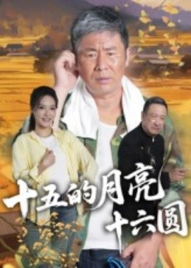 十五的月亮十六圆封面图