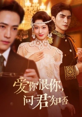 爱你恨你，问君知否封面图