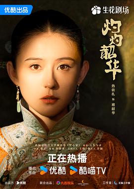 灼灼韶华封面图