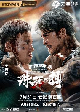殊死一搏封面图