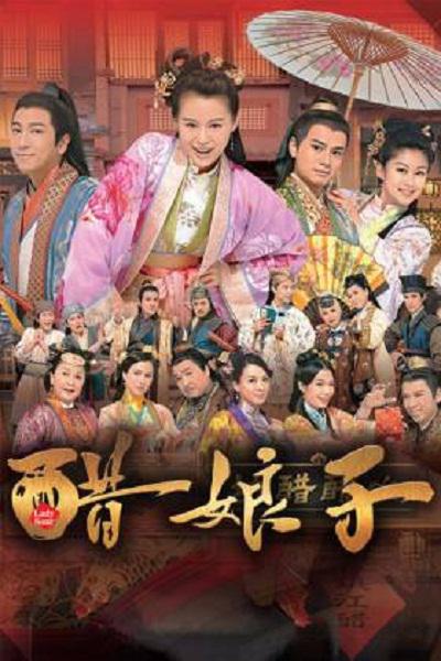 醋娘子封面图