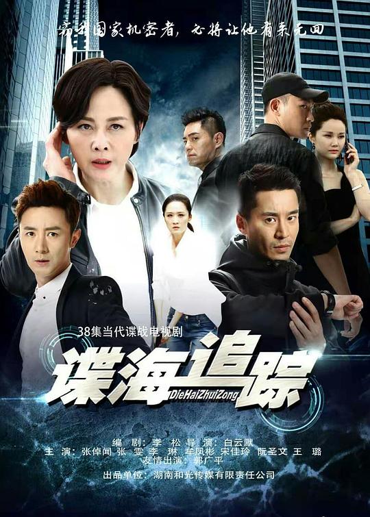 谍海追踪封面图