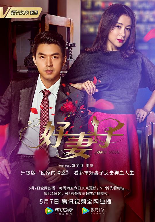 好妻子封面图