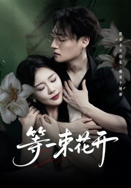 等一束花开封面图