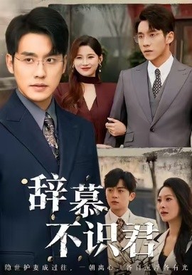 辞慕不识君 七年情深终成侮封面图