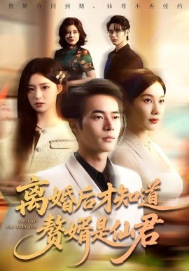 离婚后才知道赘婿是仙君封面图
