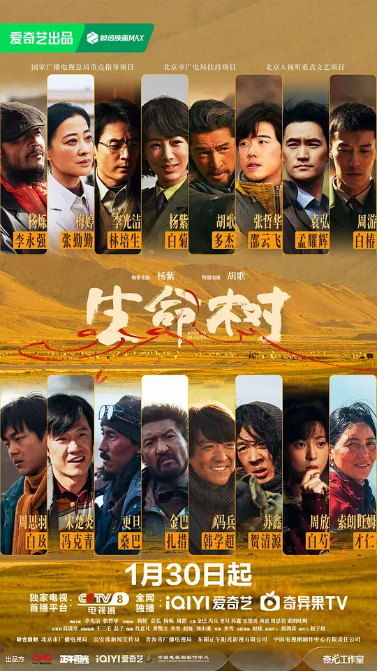 生命树封面图