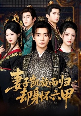 妻子凯旋而归，却身怀六甲封面图