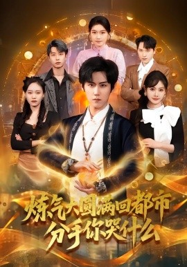 炼气大圆满回都市分手你哭什么封面图