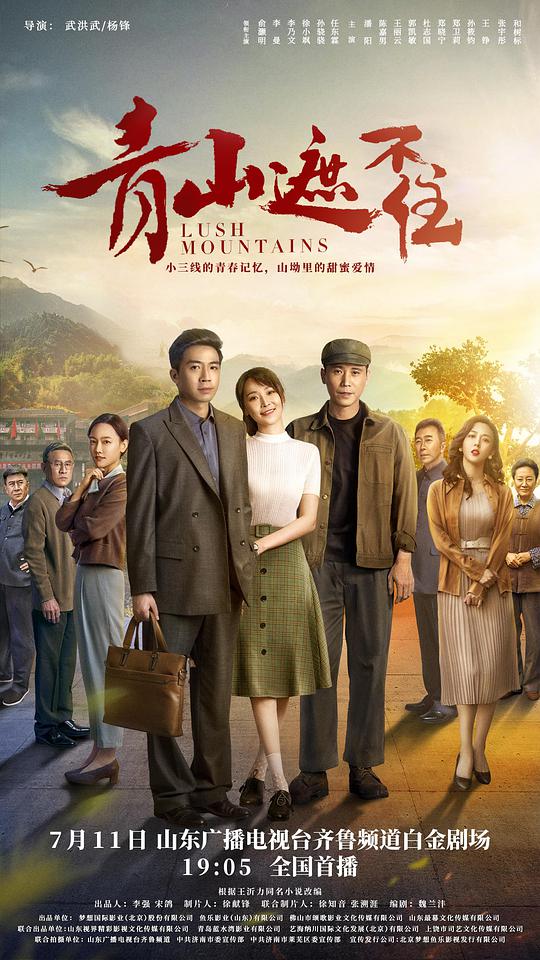 青山遮不住封面图