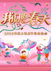 安徽卫视春节联欢晚会2026封面图