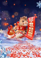 辽宁春节联欢晚会2026封面图