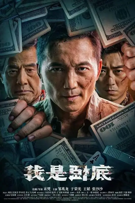 我是卧底封面图