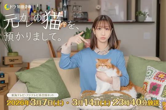 我收留了前男友的猫封面图