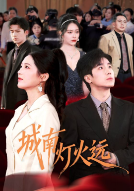 城南灯火远封面图
