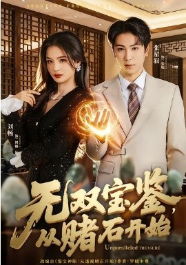 无双宝鉴，从赌石开始封面图