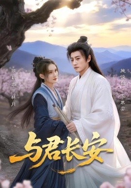 与君长安封面图