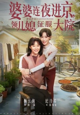 婆婆连夜进京，领儿媳征服大院封面图